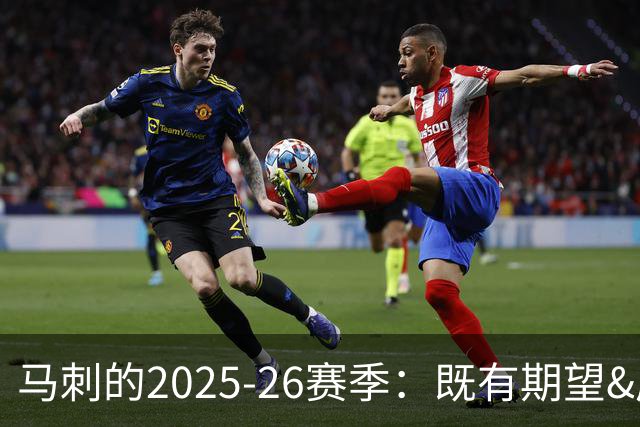 马刺的2025-26赛季：既有期望&成功也有心碎
